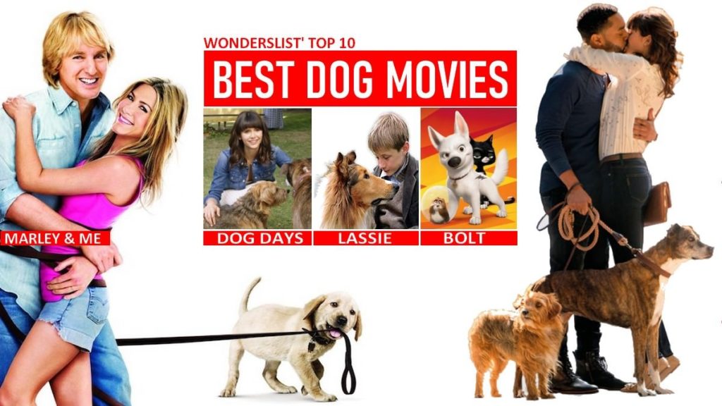 Dog Movies Top 10 Dog Movies for a Great Weekend top5omg